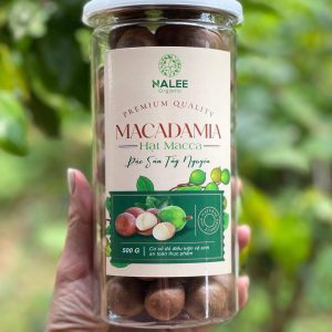 482247707_973213018346747_2481137637981793746_n